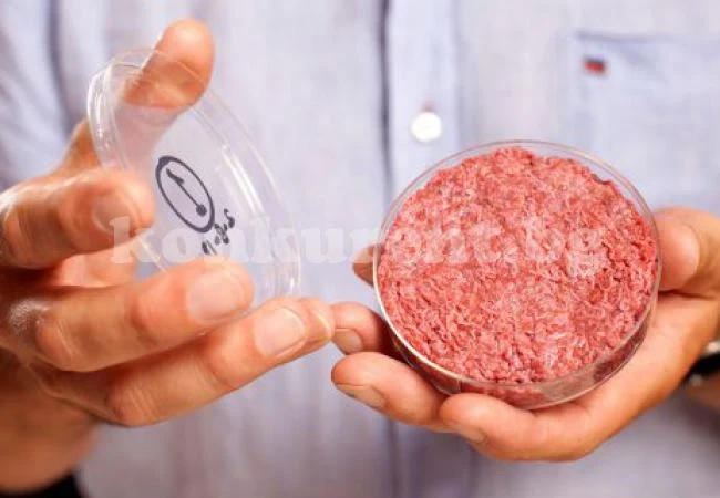 Ще продават синтетично месо след 5 г.