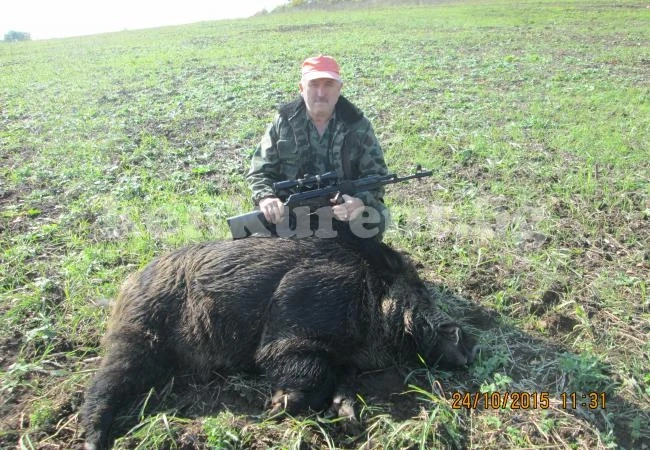 Авджии от дружинката в Голямо Пещене тръшнаха 250-килограмов глиган