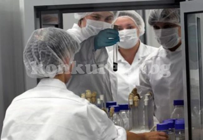 Откриха паразит, способен да зарази човека с рак