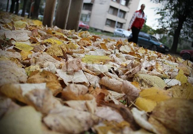Времето: Облачно на места, но без валежи