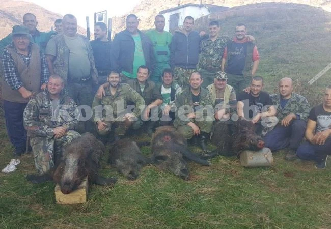 Ловците от Зверино се отчетоха с 4 прасета