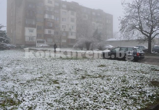 Времето: Валежи от дъжд и сняг