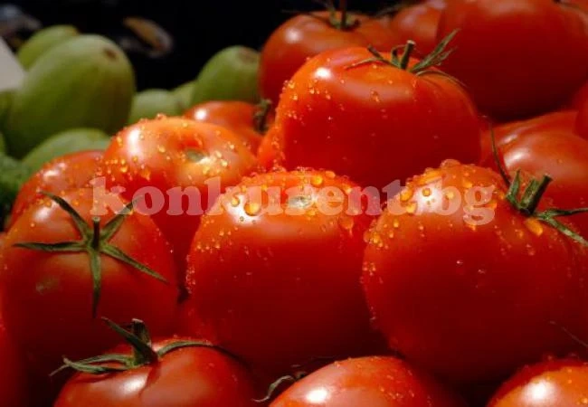Пет храни ни пазят от тумори