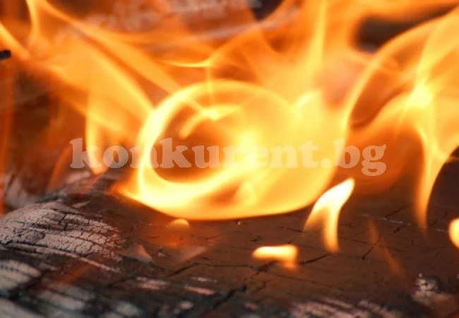 Горя контейнер за смет във Видин 