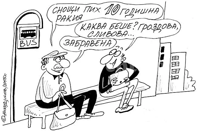 Ракийка