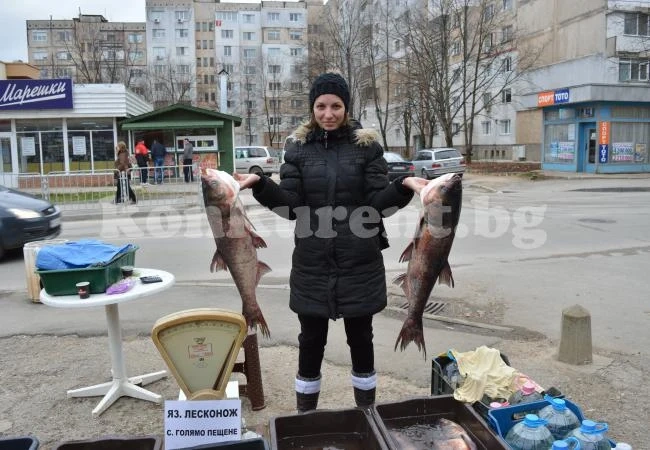 Шаранът закова 6 лв.