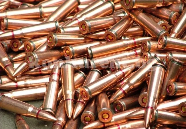 Откриха боеприпаси в дома на берковчанин