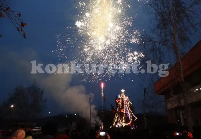 Eлхата в Криводол грейна