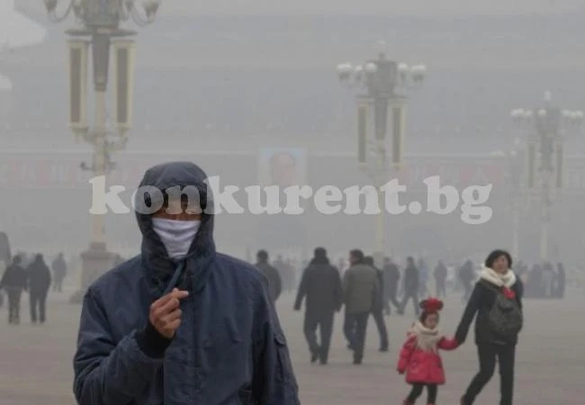 Отмениха 226 полета
