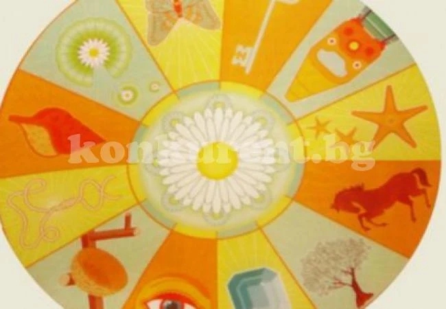 Кръгът на Делмар сочи какъв ще е късметът на всеки през 2016 г.