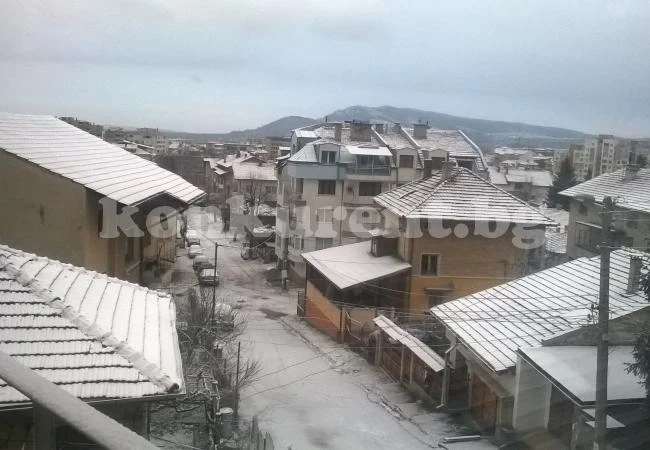 Враца побеля