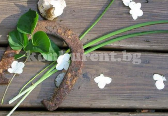 12 ритуала в първите 12 дни правят годината вълшебна!