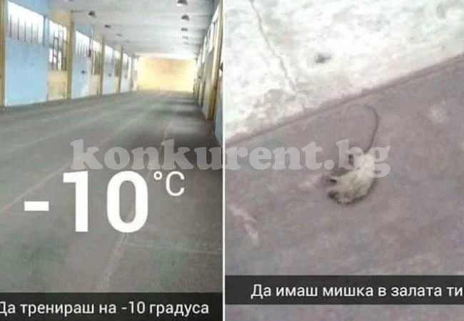 Атлети съжителстват с плъхове в мразовита зала