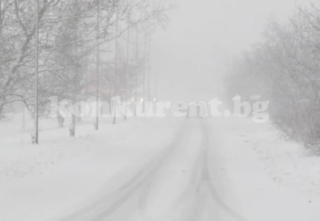 Откриха труп на мъж в снега