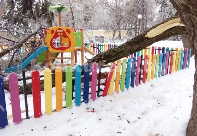 Ледът прекърши клоните на десетки дървета в Монтана