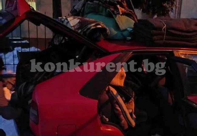 Дома „Асен Златаров” дари одеяла за кучетата на Енимал хелп