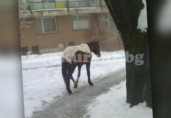 Зимен тоалет