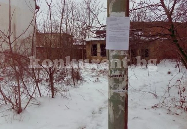 Призовкари издирват свидетели под дърво и камък