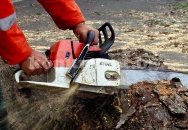 Заловиха бракониер във Видинско