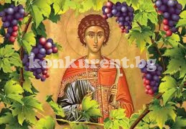 Трифон Зарезан е