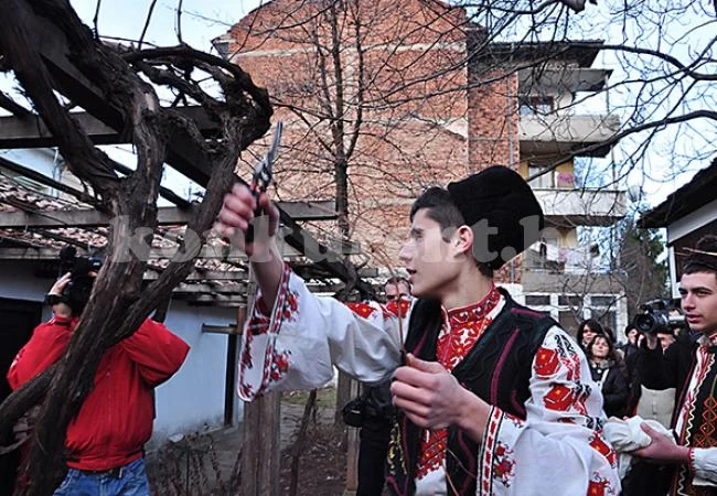 Враца избира „Цар на лозята“
