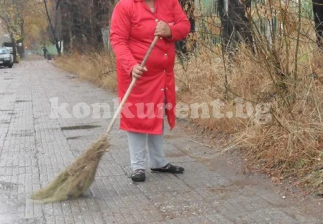 Кметица впрегна армия от безработни да чистят селото