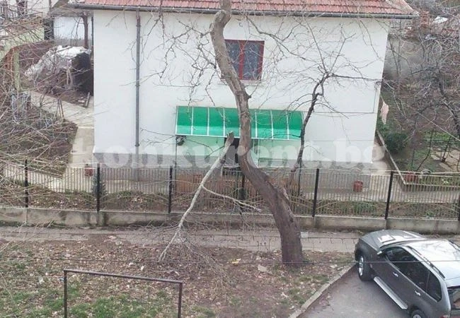 Ураганът прекърши клони във Враца
