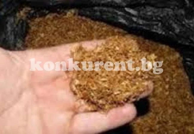 Иззеха тютюн от къщи в Лехчево