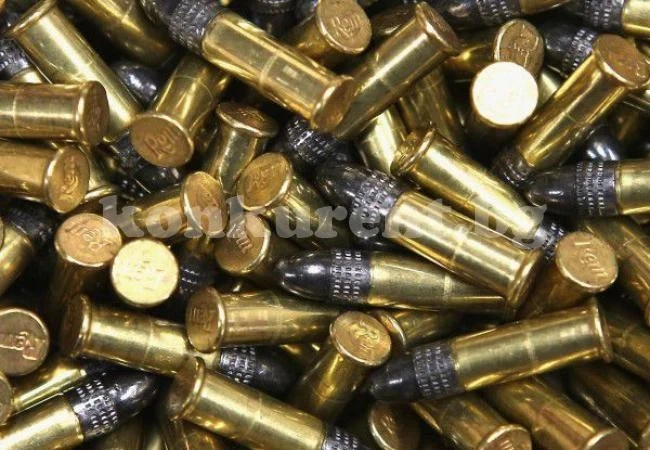 Отстраниха съветник заради боен арсенал
