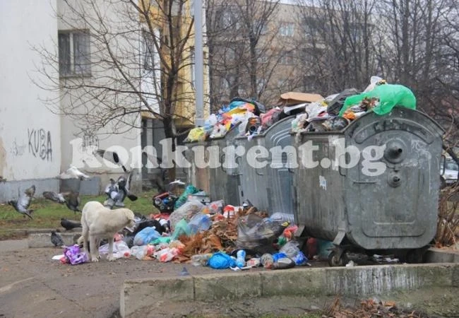 Две фирми спечелиха поръчка за контейнери