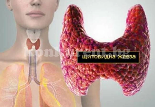 Тези симптоми издават, че щитовидната ви жлеза не е добре