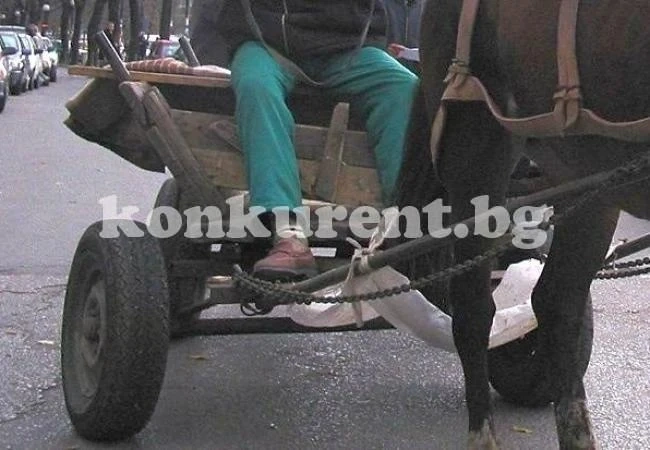 Община Враца напомня за забраната на движението на каруци в центъра на града