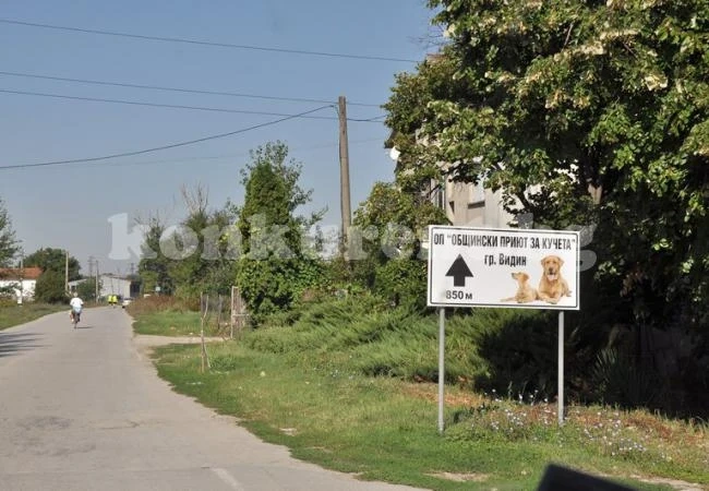 Надушиха нелегален приют за кучета във Видин
