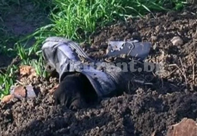 Ужас! Чакали глозгат мъртъвци във Видинско