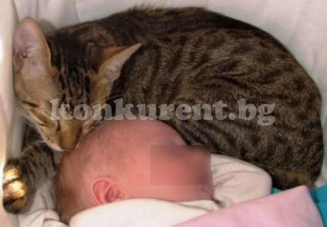 Шок! Котка задуши двумесечно бебе