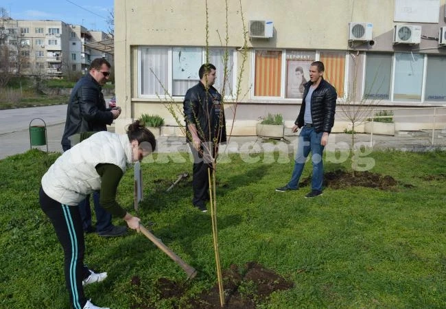 Младежите от ГЕРБ засадиха дръвчета в Козлодуй