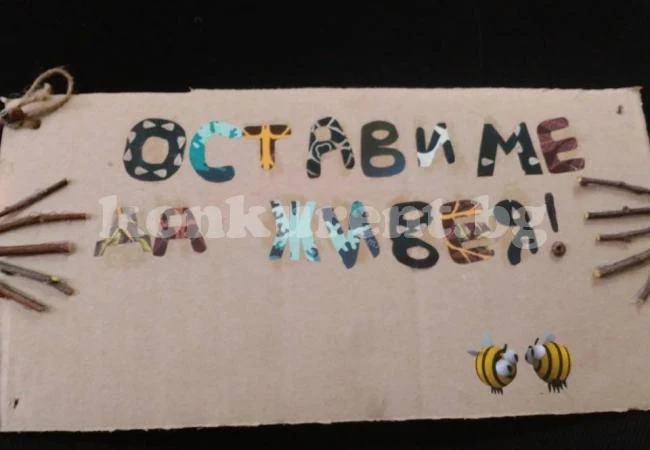 Окичиха фиданки с табели „Остави ме да живея”