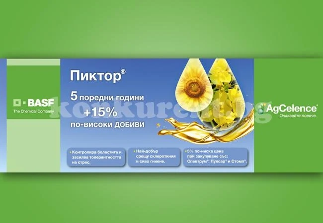 ПИКТОР от BASF