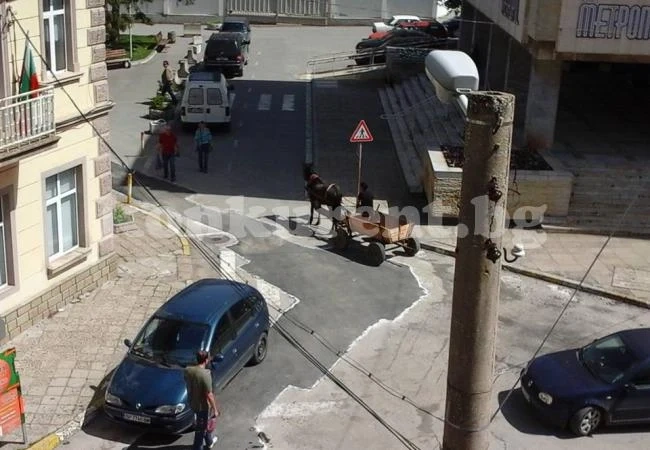 Въпреки забраната: Каруци шарят из центъра на Враца