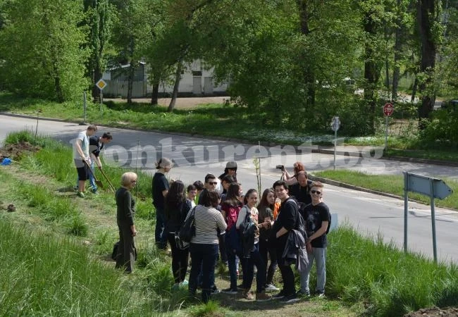 С нови 105 дървета се увеличи зеленият пояс на Монтана