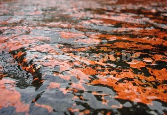 Вижте реката, която тече в корито от скъпоценни камъни (СНИМКИ)