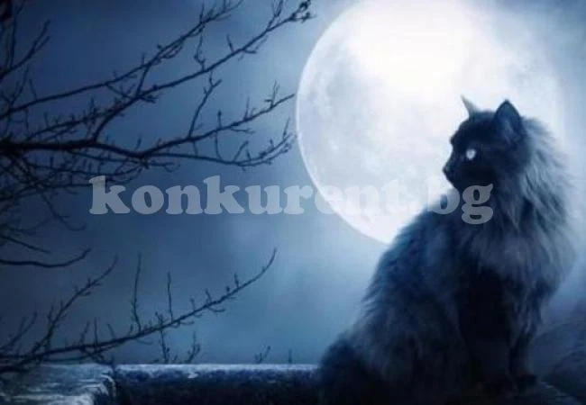 Нумероложка с шокираща прогноза: Удря ни най-мощният петък 13-и, чака ни силна разплата заради могъща черна магия!