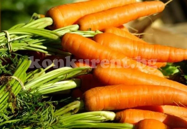Учени разкриха тайните на моркова