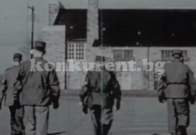 Тайно изпитвали ЛСД върху цивилни и военни (ВИДЕО)