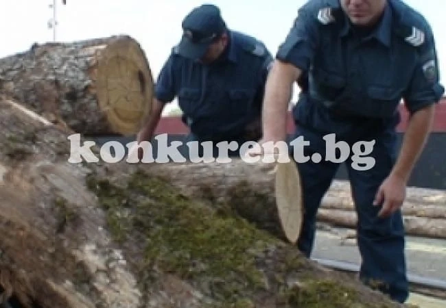 Засякоха бракониер с чужди табели на колата