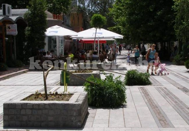 Вандали и крадци на цветя бастисват паркове и градини