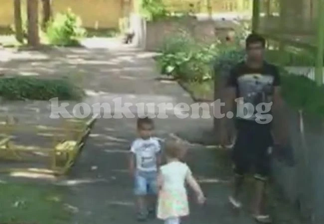 Змии пълзят на метри от детска ясла
