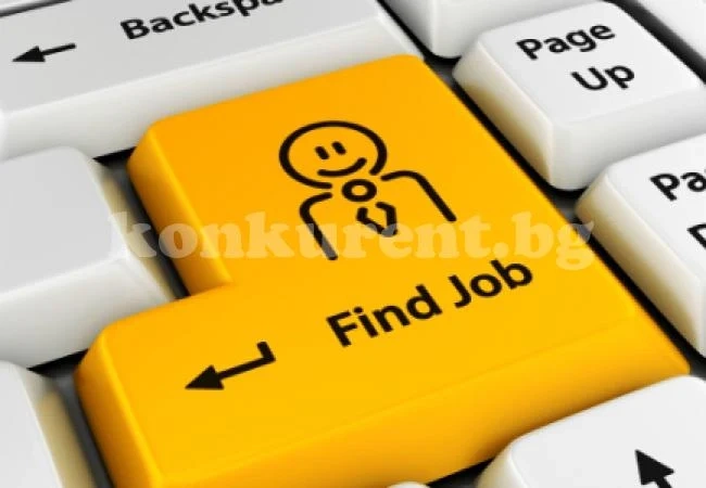 Канят роми на работа в Кралство Холандия