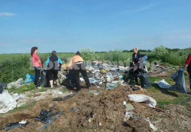 Община Борован се включи в чистенето