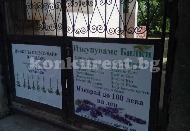 Откриха нов пункт за изкупуване на билки